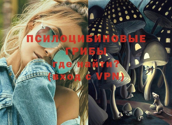 эйфоретик Абинск