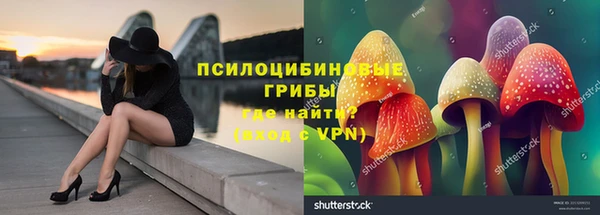 эйфоретик Абинск