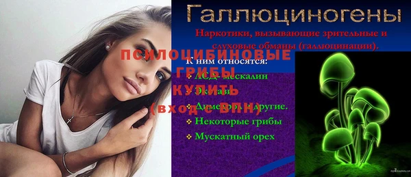 СК Алексин