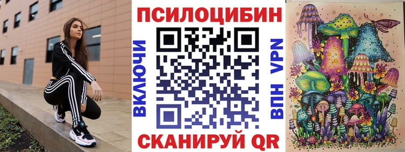 omg маркетплейс  Стерлитамак  Псилоцибиновые грибы Psilocybine cubensis  закладка 
